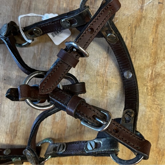 western show halter silver Miniature/pony/foal - Picture 4 of 4